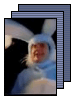 [FursuitTV]