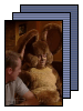 [Movies Series Shows]