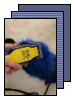 [Tutorials]