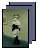 [Furbo2]