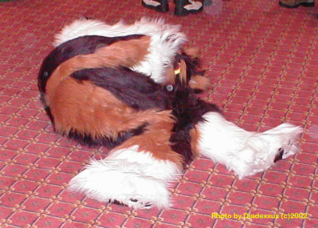 [Diadexxus_AC2002_054.jpg]