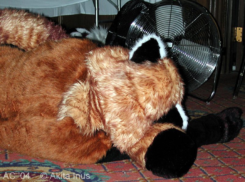 [Akita_AC2004_110_DeadDogs.jpg]