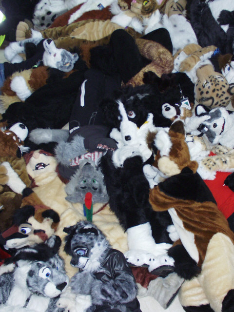 [WallyWolf_AC2005_FursuitRug13.jpg]