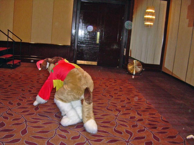 [MortonFox_AC2006_Fursuit_Games-fd0015.jpg]