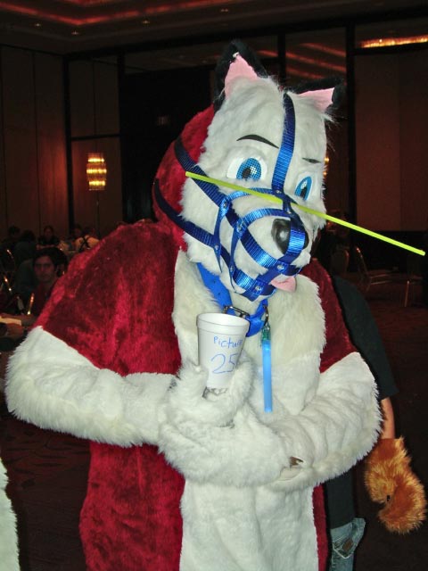 [MortonFox_AC2006_ac2006d0_06.jpg]