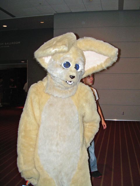 [MortonFox_AC2006_ac2006d1a_08.jpg]