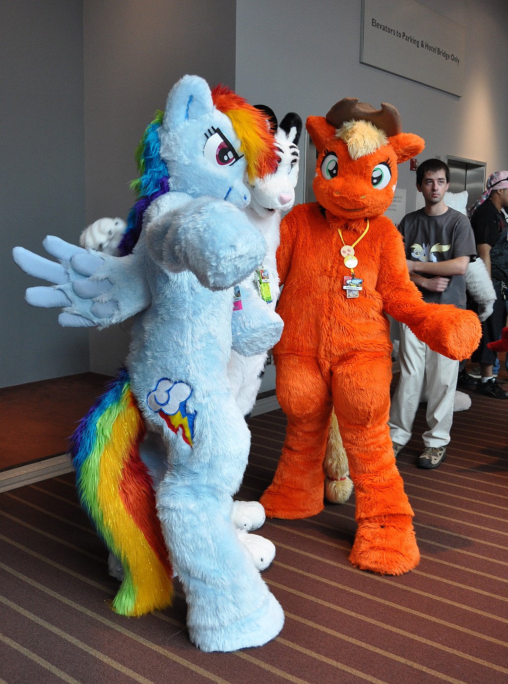 [SeanC_AC2011_289.jpg]