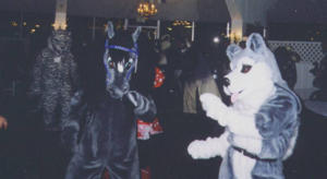 [furdance_03.jpg]