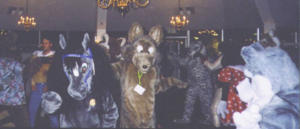 [furdance_04.jpg]