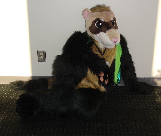 [WhiteWolf_FWA2007_riddlesuit2.jpg]