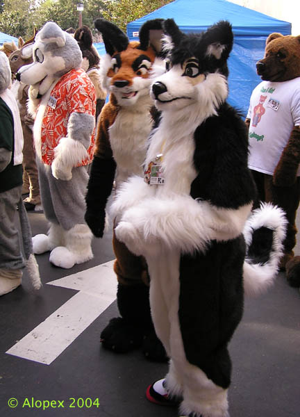 [Alopex_FC2004_103Canidae.jpg]