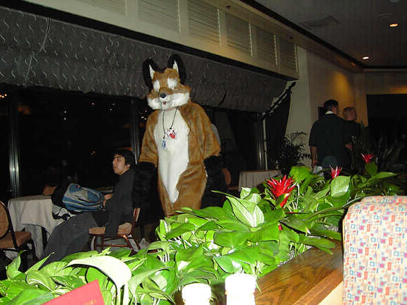 [Calib_FC2004_Fox_walk_by_FC04.jpg]