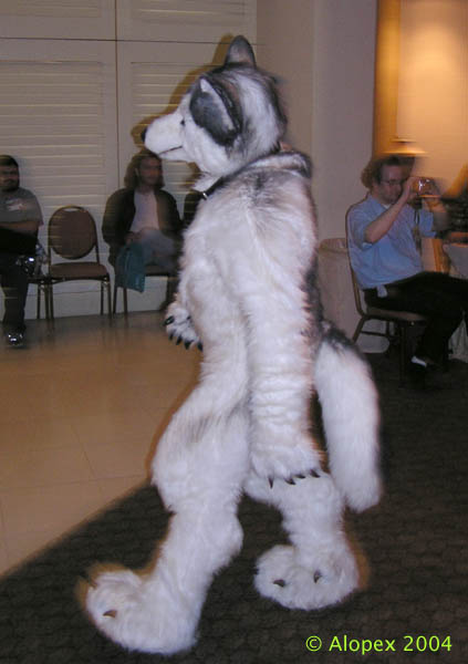 [Alopex_FC2004_028Huskywolf.jpg]