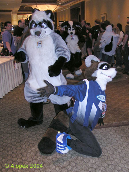 [Alopex_FC2004_031CoonzX2.jpg]