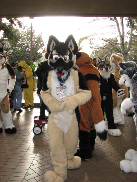 [BaltoWoof_FC2008_126.jpg]