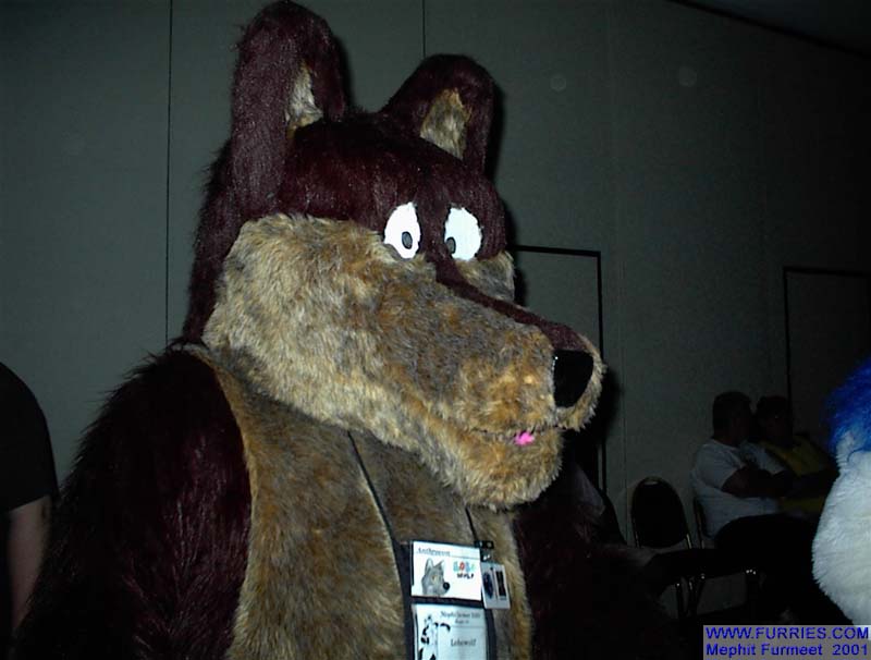 [ZenWolf__MFM2001_27.jpg]