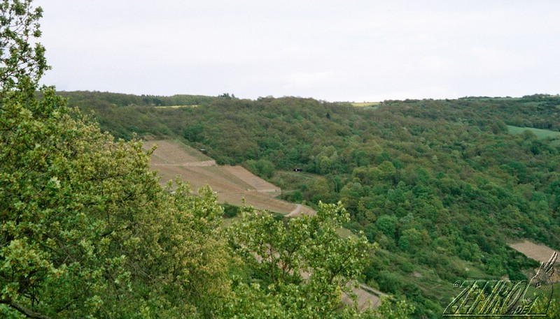 [Zephiro_MMC2002_056-Schuppen_im_Wald.jpg]