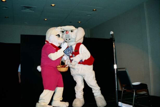 [Nikon_MidWestFurFest20001117_062.jpg]