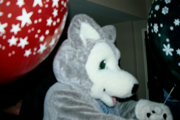 [Nikon_MidWestFurFest20001118_084.jpg]