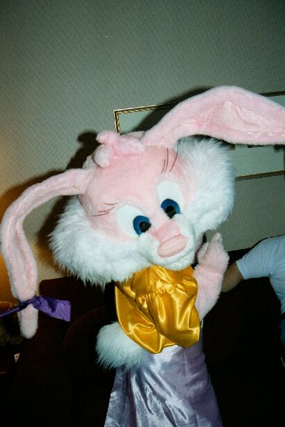 [Nikon_MidWestFurFest20001118_131.jpg]