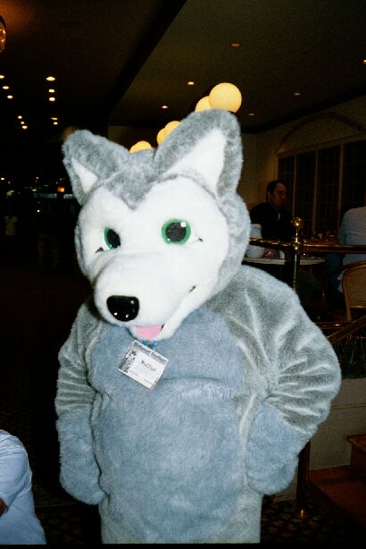 [Nikon_MidWestFurFest20001119_06.jpg]