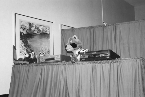 [Nikon_MidWestFurFest20001117_011.jpg]