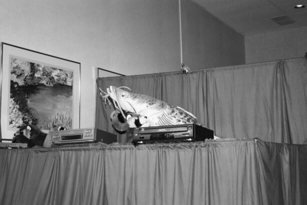 [Nikon_MidWestFurFest20001117_012.jpg]