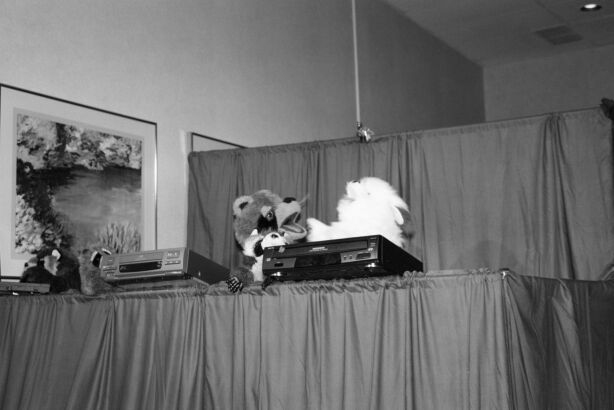 [Nikon_MidWestFurFest20001117_013.jpg]