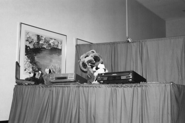 [Nikon_MidWestFurFest20001117_014.jpg]
