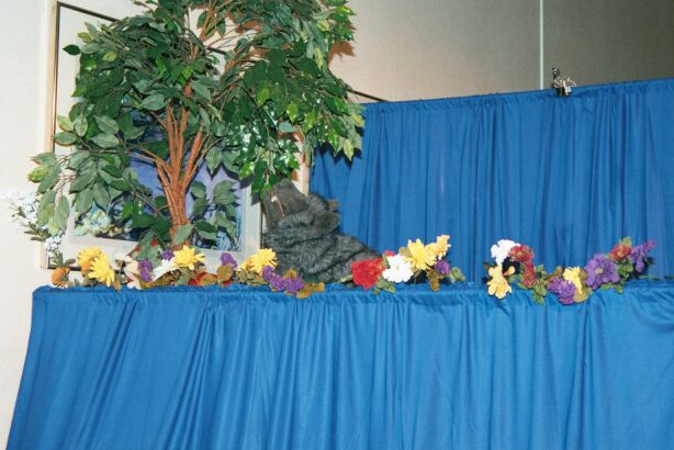 [Nikon_MidWestFurFest20001117_028.jpg]