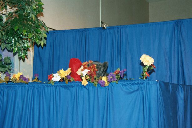 [Nikon_MidWestFurFest20001117_030.jpg]