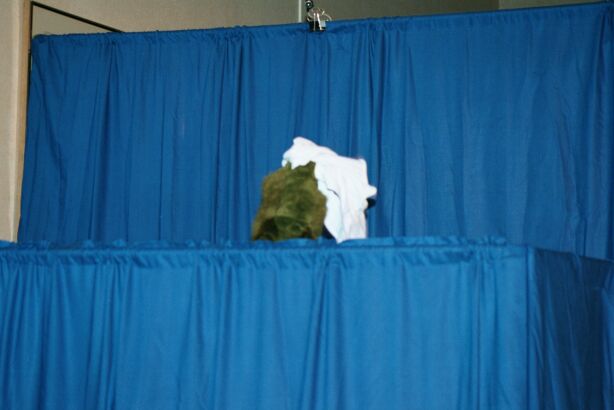 [Nikon_MidWestFurFest20001117_034.jpg]