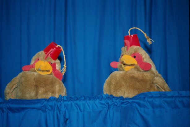[Nikon_MidWestFurFest20001117_046.jpg]