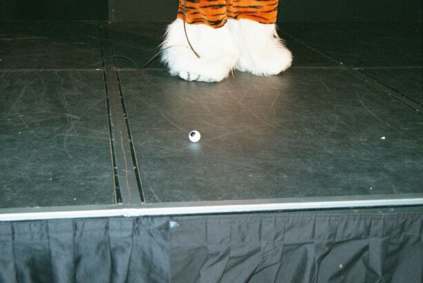 [Nikon_MidWestFurFest20001117_050.jpg]
