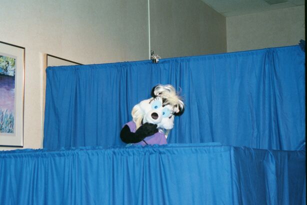 [Nikon_MidWestFurFest20001117_052.jpg]