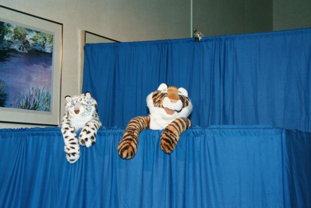 [Nikon_MidWestFurFest20001117_065.jpg]