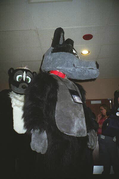 [pic43.jpg]