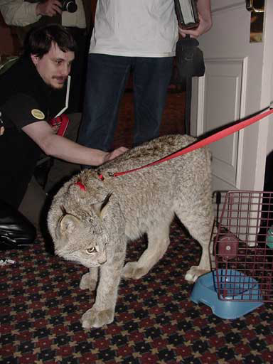 [Draconis_MFF2001_161.jpg]