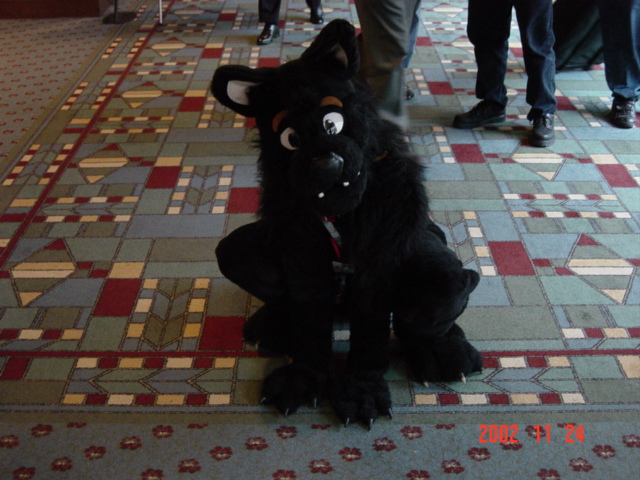 [LatinVixen_MFF2002_01.jpg]