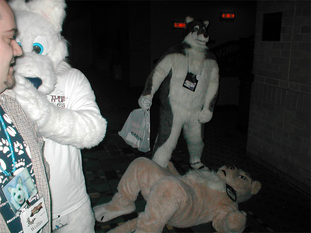 [Perro_MFF2002_69.jpg]