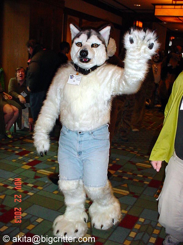 [Akita_Inus_MFF03_207.jpg]