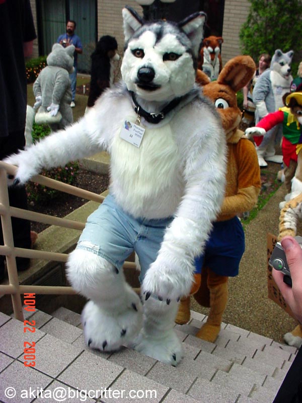 [Akita_Inus_MFF03_226.jpg]