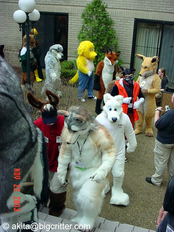 [Akita_Inus_MFF03_228.jpg]