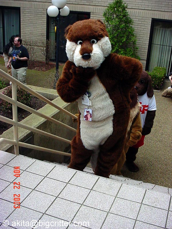 [Akita_Inus_MFF03_240.jpg]