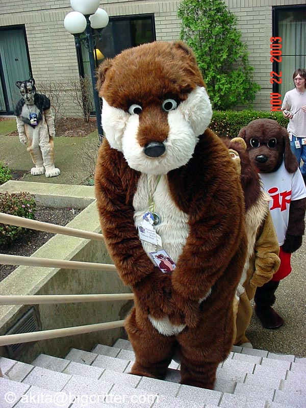 [Akita_Inus_MFF03_241.jpg]