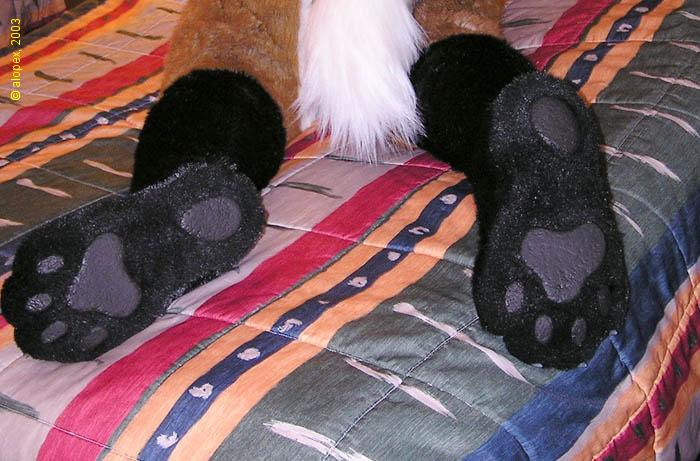 [Alopex_MFF03_38TChallFeet.jpg]