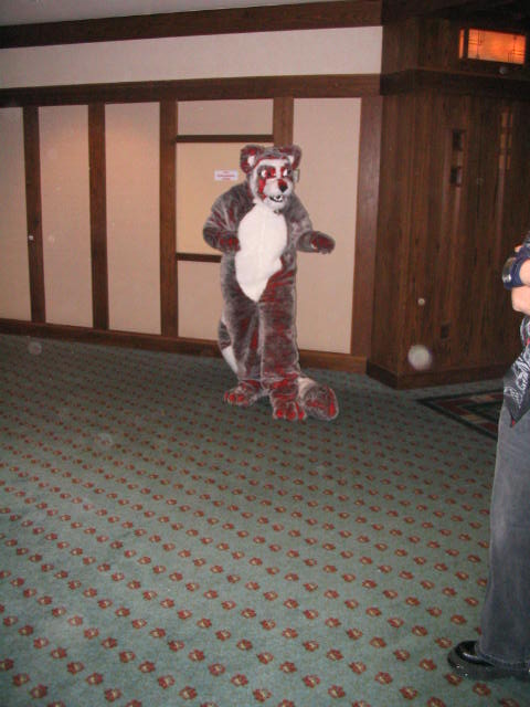 [Kwip_MFF2004_052.jpg]