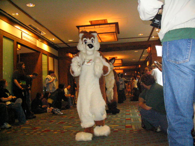 [Kwip_MFF2004_217.jpg]