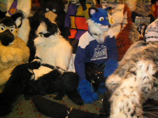 [Kwip_MFF2004_329.jpg]