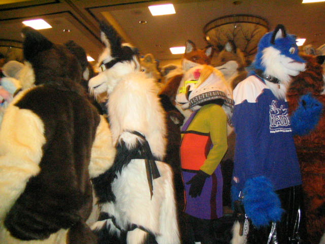 [Kwip_MFF2004_334.jpg]